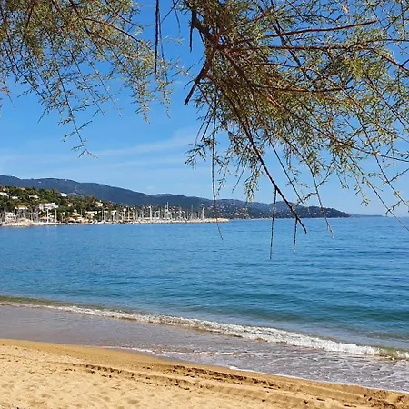 Lägenhet Cyclades Dans Piscine Tennis Boulodrome